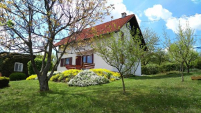  Guest House Kolić  Дрежник Град 